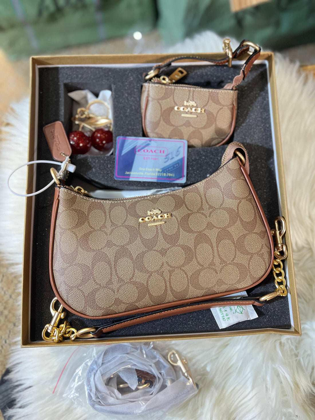 COACH Teri Bag Gift 🎁 Set In Signature Canvas